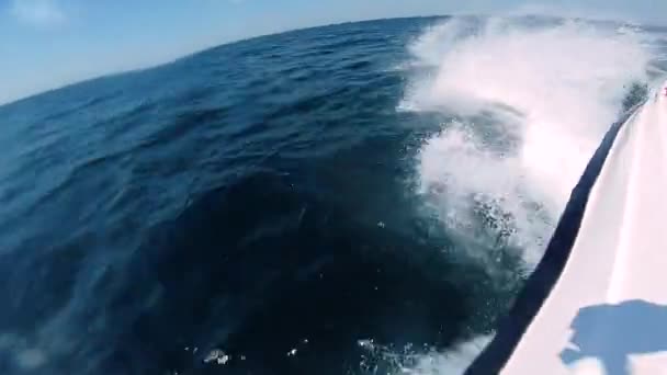 Motorcsónak ugrás a tengeri hullámok a napsütéses nyári napon Kék tenger víz fehér splashe — Stock videók
