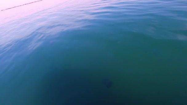 Vue de la surface de l'eau de la mer avec bateau en mouvement. Paysage marin, vue sur la mer. Naturel — Video