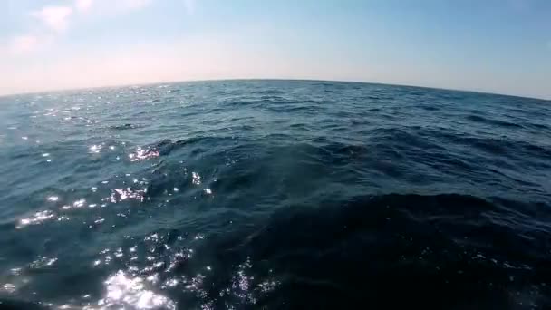 Άποψη της ανοιχτής θάλασσας από το σκάφος. Θαλάσσιο τοπίο, θαλάσσιο τοπίο — Αρχείο Βίντεο