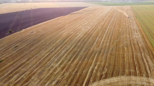 Vue aérienne d'un drone survolant différents champs agricoles après la récolte — Video