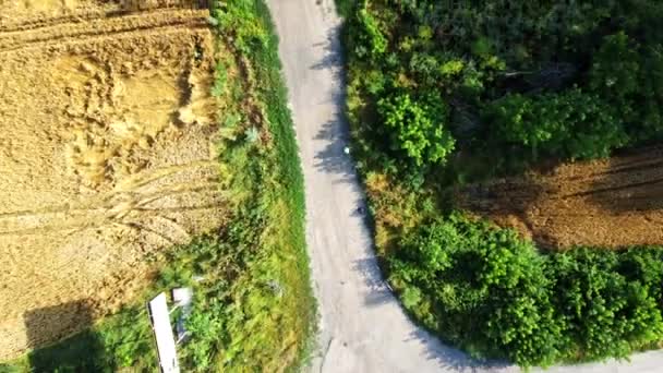 Αεροφωτογραφία μη επανδρωμένου αεροσκάφους πάνω από διασταύρωση ασφαλτοστρωμένου δρόμου μεταξύ γεωργικών αγρών — Αρχείο Βίντεο