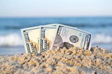 Üç yüz dolarlık banknotların yarısı kumlu deniz kıyısında gömülü.