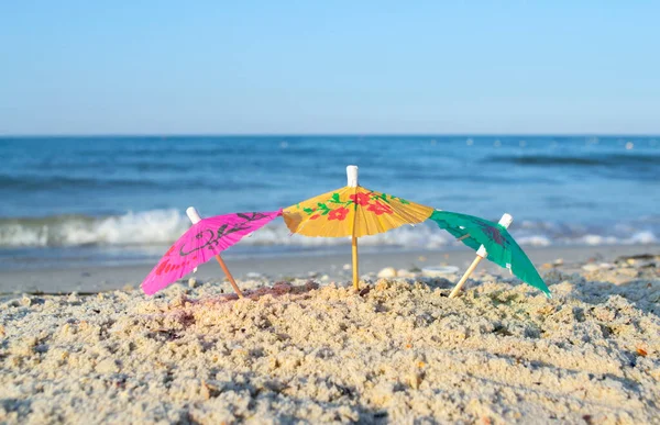 Three small paper cocktail umbrellas stand in sand on sandy beach close-up. — Stock Photo, Image