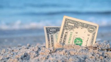İki tane bir dolarlık banknot, kumlu deniz kıyısında yarı gömülü..