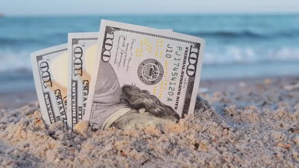 Two one dollar bills half buried in sand on sandy seashore close-up. — Stockvideo