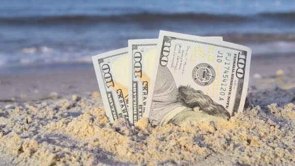 Two one dollar bills half buried in sand on sandy seashore close-up. — Stockvideo