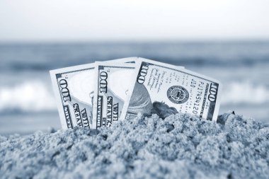 Üç yüz dolarlık banknotların yarısı kumlu deniz kıyısında gömülü.