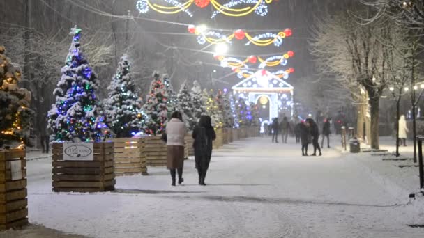 Rua da cidade durante a queda de neve na noite de inverno. Bela iluminação — Vídeo de Stock