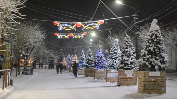 Улица города во время снегопада в зимнюю ночь.. — стоковое видео
