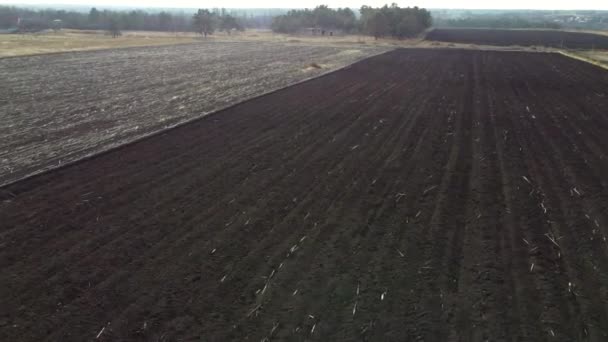 공중 드론 은 가루가 된 갈색 토양 상공을 비행하는 것을 보게 된다. 파종 된 밭. — 비디오
