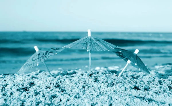 Three small paper cocktail umbrellas stand in sand on sandy beach close-up