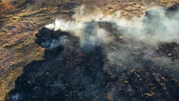 LuchtDrone View Over Brandend droog gras en rook in het veld. Vuur en open vuur — Stockvideo