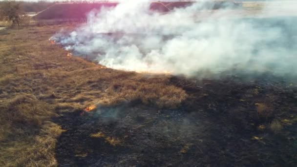 Aerial Drone View Over Quema de hierba seca y humo en el campo. Llama y fuego abierto — Vídeo de stock