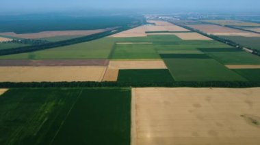 Farklı tarım alanlarının panoramik üst görüntüsü. Sarı buğday tarlası parçaları