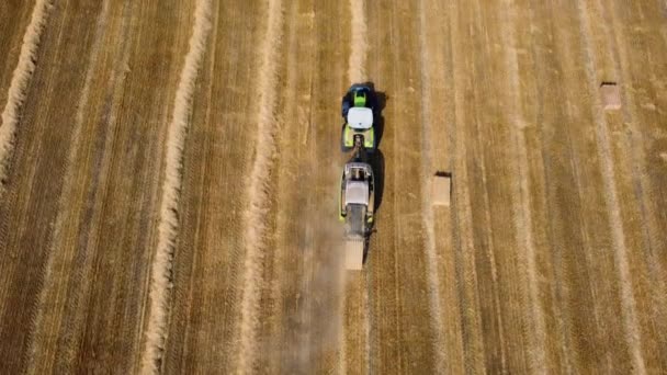 Seno balík traktor. Traktor sklízí seno do balíků na poli za slunečného dne. — Stock video