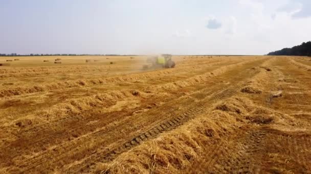 Hårbalstraktor. Traktor skörda hö i balar i fält på solig dag. — Stockvideo