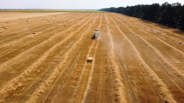 Серый тюк трактор. Трактор собирает сено в тюки в поле в солнечный день. — стоковое видео
