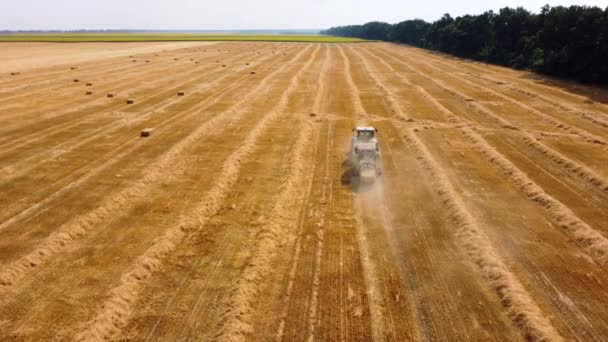 ヘイベイルトラクター。晴れた日に畑で干し草を収穫するトラクター. — ストック動画