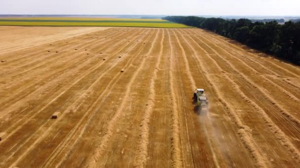 Трактор для тюків. Трактор збирає сіно в тюки на полі в сонячний день . — стокове відео