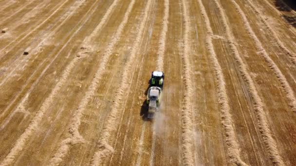 Hårbalstraktor. Traktor skörda hö i balar i fält på solig dag. — Stockvideo
