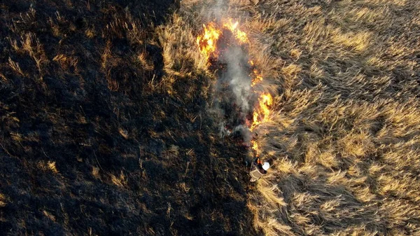 Ogień z powietrza gaśnie. Strażak gaszący suchą trawę. Otwarte płomienie — Zdjęcie stockowe