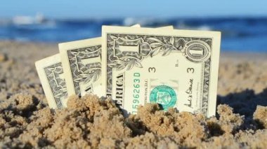 Güneşli bir günde kumsalda kumlara gömülen üç dolar banknot.