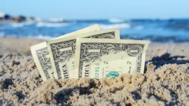 Güneşli bir günde kumsalda kumlara gömülen üç dolar banknot.