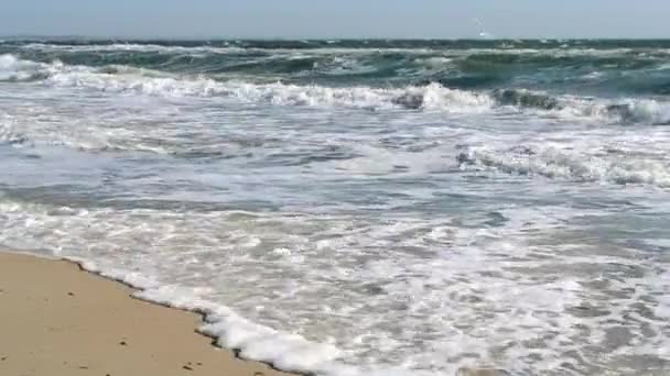 Βροχερή θάλασσα. Τα κύματα της φουρτουνιασμένης θάλασσας κυλούν στην ακτή την ηλιόλουστη μέρα. — Αρχείο Βίντεο