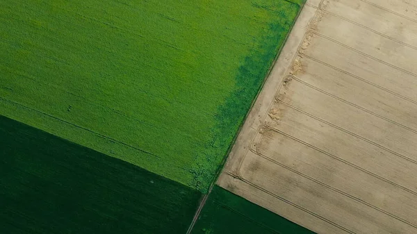 Панорамний вид зверху на різні сільськогосподарські поля. Частини жовтого пшеничного поля — стокове фото