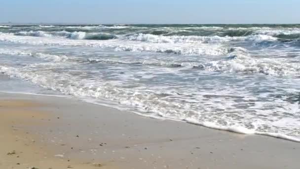 Stormy sea. The waves of the stormy sea roll on the shore on sunny day. — Stock Video