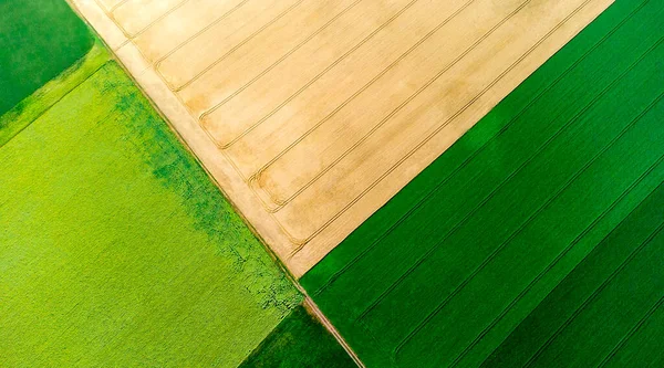 Farklı tarım alanlarının panoramik üst görüntüsü. Sarı buğday tarlası parçaları
