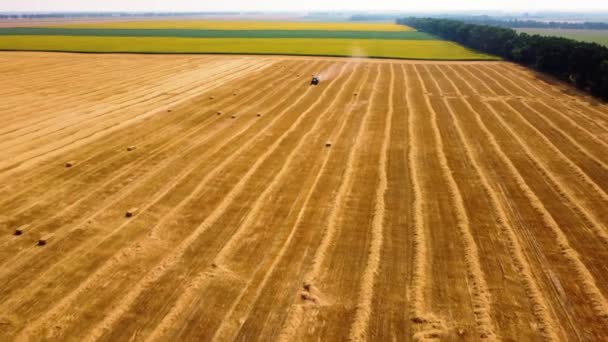 ヘイベイルトラクター。晴れた日に畑で干し草を収穫するトラクター. — ストック動画