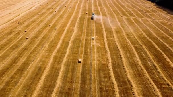 Tractor de balas de heno. Tractor cosechando heno en fardos en el campo en un día soleado. — Vídeos de Stock