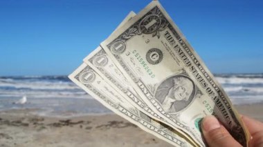 Deniz ve deniz dalgalarının arka planında üç dolarlık banknot tutan kişi