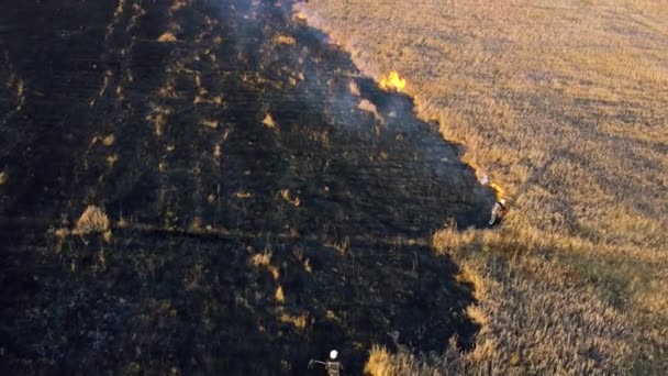 Letecký pohled Hasící přístroj. Hasič hasí hořící suchou trávu. — Stock video
