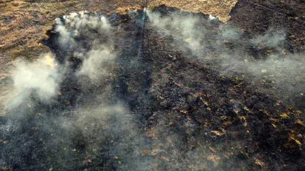 Aerial Drone View Over Quema de hierba seca y humo en el campo. Llama y fuego abierto —  Fotos de Stock