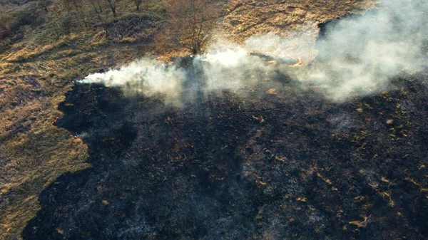 Flygdrönare Visa över bränna torrt gräs och rök i fält. Flamma och öppen eld — Stockfoto