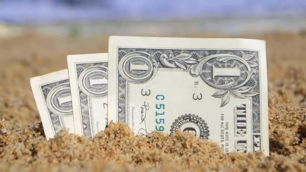 Паперові купюри один долар, похований у піску на пляжі на тлі — стокове відео