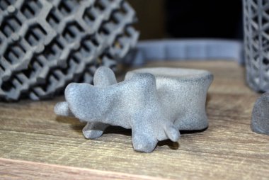 Prototip insan omurgası 3 boyutlu yazıcıya basılmış. Model 3D yazıcıda yazdırıldı