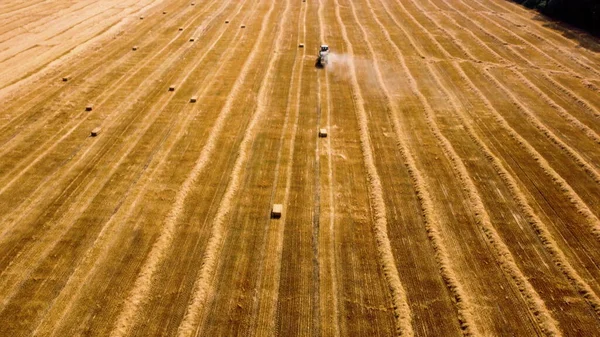 Tracteur à balles de foin. Récolte de foin de tracteur en balles dans le champ par une journée ensoleillée. — Photo