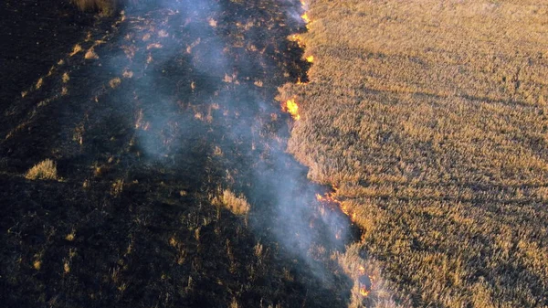 Flygdrönare Visa över bränna torrt gräs och rök i fält. Flamma och öppen eld — Stockfoto