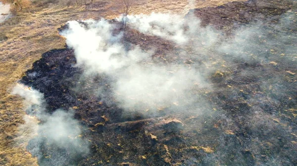 Vista aérea del dron quemando hierba seca. Abran llamas de fuego y humo. Amarillo seco —  Fotos de Stock