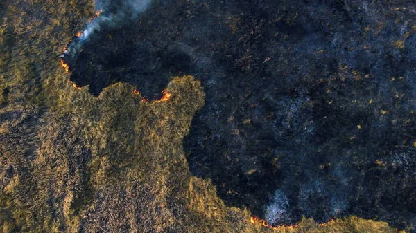 Aerial Drone View Over Quema de hierba seca y humo en el campo. Llama y fuego abierto —  Fotos de Stock