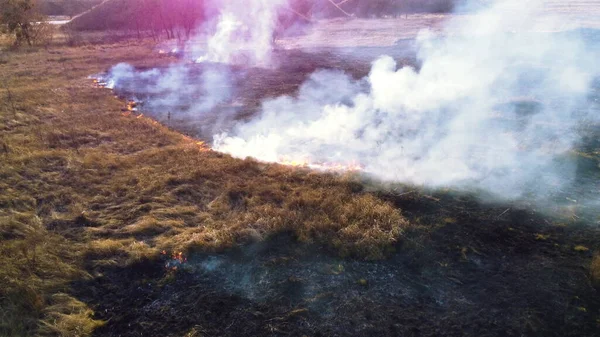 공중 드론 은마른 풀 과 들에서 연기가 타는 것을 바라본다. 불을 피우고 불을 피워라 — 스톡 사진