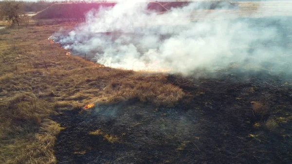 Вид с воздуха на беспилотник над сжиганием сухой травы и дыма в поле. Пламя и открытый огонь — стоковое фото