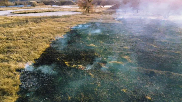 Flygdrönare Visa bränna torrt gräs. Öppna lågor av eld och rök. Gul torr — Stockfoto