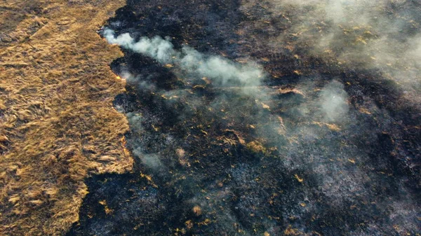 Flygdrönare Visa bränna torrt gräs. Öppna lågor av eld och rök. Gul torr — Stockfoto
