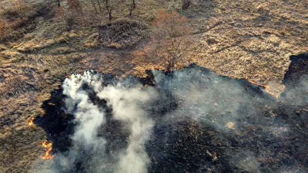 Flygdrönare Visa över bränna torrt gräs och rök i fält. Flamma och öppen eld — Stockfoto