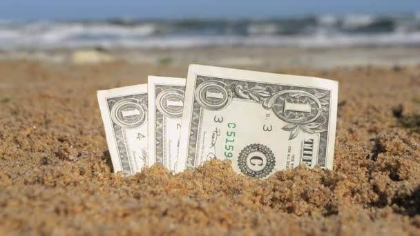 Паперові купюри один долар, похований у піску на пляжі на тлі — стокове відео