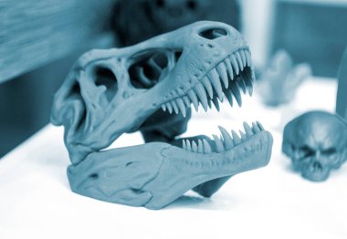 Model dinozor kafatası 3D yazıcıya yazdırıldı.